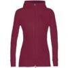 ICEBREAKER QUANTUM III LS ZIP HOOD CHERRY 23 -Winter Sportswear 9 116059 quantum iii ls zip hood cherry ib0a59jw 553 01