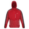 REGATTA CADFORD IV CHINRED/DKRD 23 -Winter Sportswear 9 123086 rma514 p8u 01