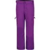 DARE 2B SPUR ON PANT ULTRVIOLPURP 19 2 DARE 2B SPUR ON PANT ULTRVIOLPURP 19 -Winter Sportswear 9 70487 spur on pant ultrviolpurp dkw320 892 01