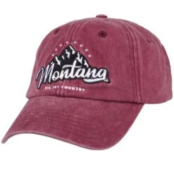 FRENCH DISORDER WASHED CAP MONTANA BRICK 23