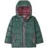 PATAGONIA BABY HILOFT DOWN SWEATER HOODY PINYON GREEN 23 -Winter Sportswear 9 110834 baby hiloft down sweater hoody pinyon green 60494 pign 01